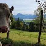 アパート Alpenblick 1, Bergblick Pur Im Allgaeu ハルプレヒ