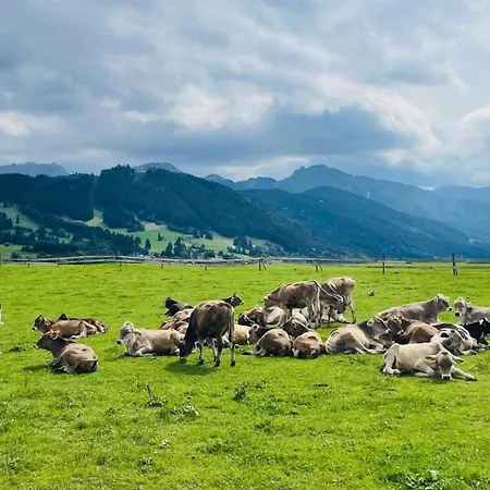 Alpenblick 1, Bergblick Pur Im Allgaeu Διαμέρισμα